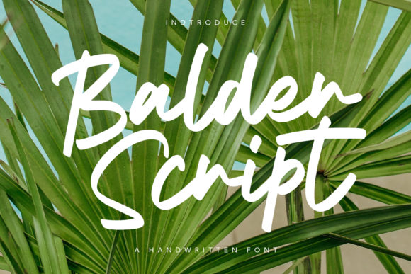 Font Review: Balder Script for Web Design